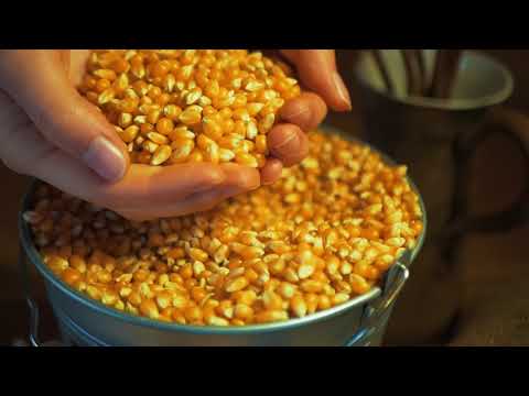 Mais - popcorn vykoupaný v neobyčejných příchutích