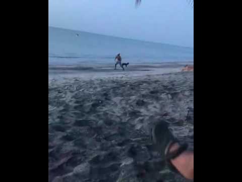 Murzyn zaczepia pieska i gorzko tego żałuje