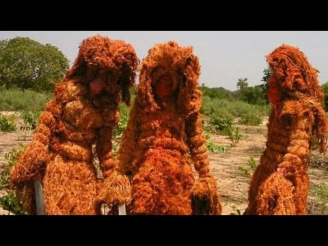 Direction le diambo de Ziguinchor.