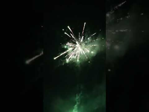 TB312 *Tropic Firework*