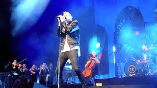 Tom Chaplin, Under A Million Lights, RFH, London 2017