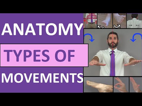 image-What is the movement of the body part? 