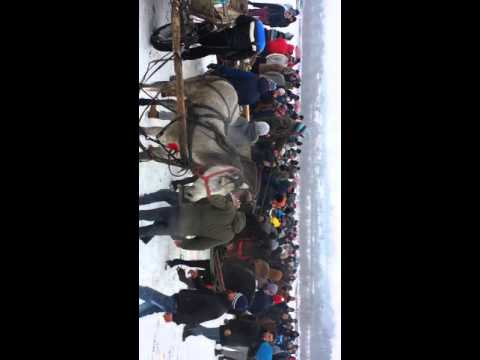 Boboteaza Mogosesti (2016)