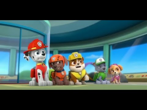 PAW Patrol: The Pups Are Arguing Over Who Does What to Find Ryder. (Part 1/2).