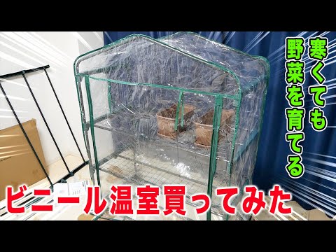 苗木用の小さな温室を作るにはどうすればよいですか？自宅で簡単に再現できるリサイクルアイデア4選！  庭園