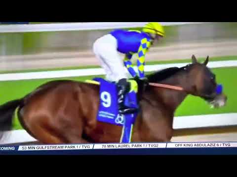 Saudi cup race 6 / $2M Pinehurst￼￼