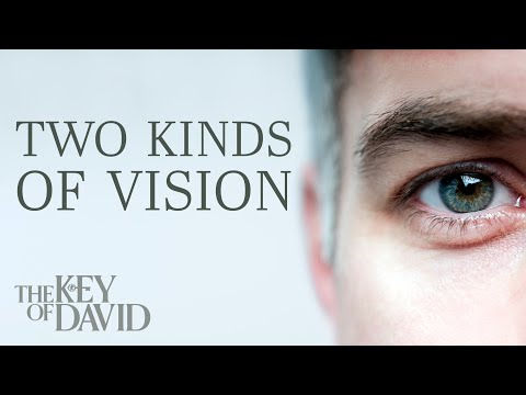 Two Kinds of Vision