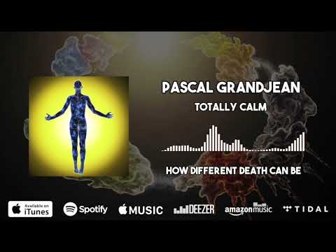 PASCAL GRANDJEAN - Totally Calm (Official Visualizer)