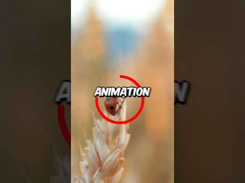 How To Make a Circle Outline Animation in Premiere Pro