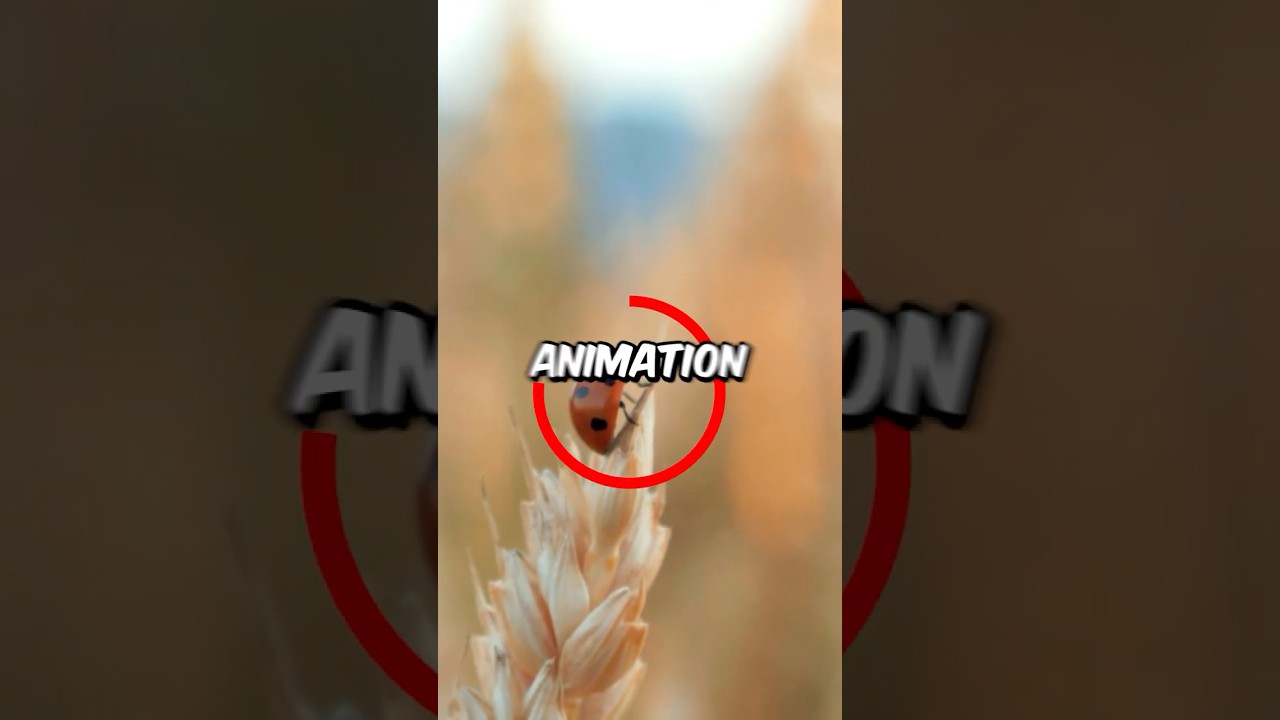 How To Make a Circle Outline Animation in Premiere Pro