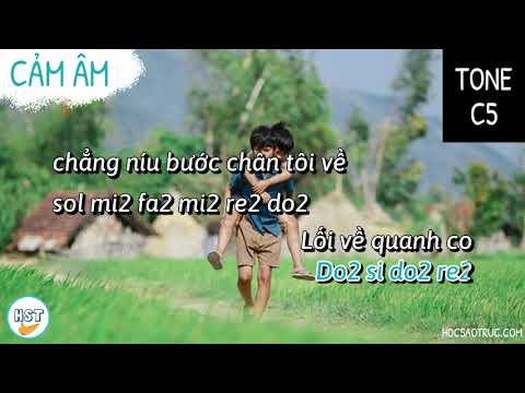 Cảm âm Tôi Thấy Hoa Vàng Trên Cỏ Xanh - Ái Phương - Beat C5 Tone Đô Cực Hay