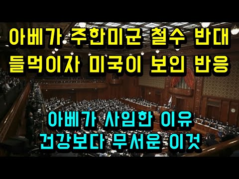 아베의 계획을 적중시킨 호사카의 신박한 분석