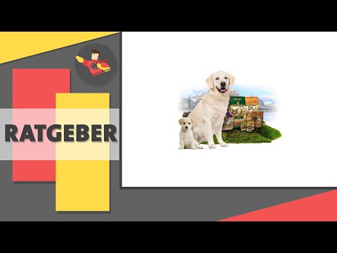 🦸‍♂️Wolfsblut Hundefutter – MeinungsHeld Kaufratgeber