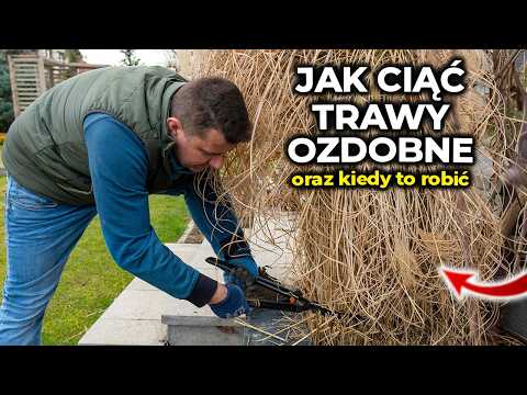 Cutting Ornamental Grasses 2024. How and When to Cut Ornamental Grasses.