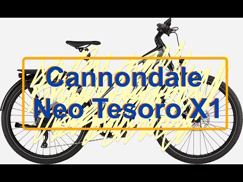 Long Distance Cycling on an eBike (Cannondale Neo Tesoro X1)