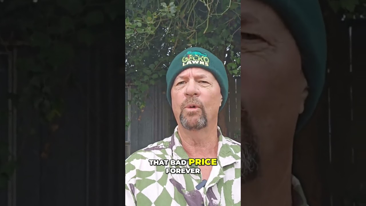 Pricing Mistakes? Fix It! Sustainable Business Tips