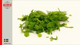 Parsley: Slicer 3 mm