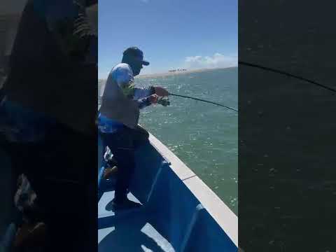 foz do rio sao Francisco sergipe