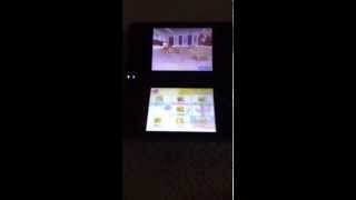 How to get a puppy on Nintendogs less than 10 minutes!