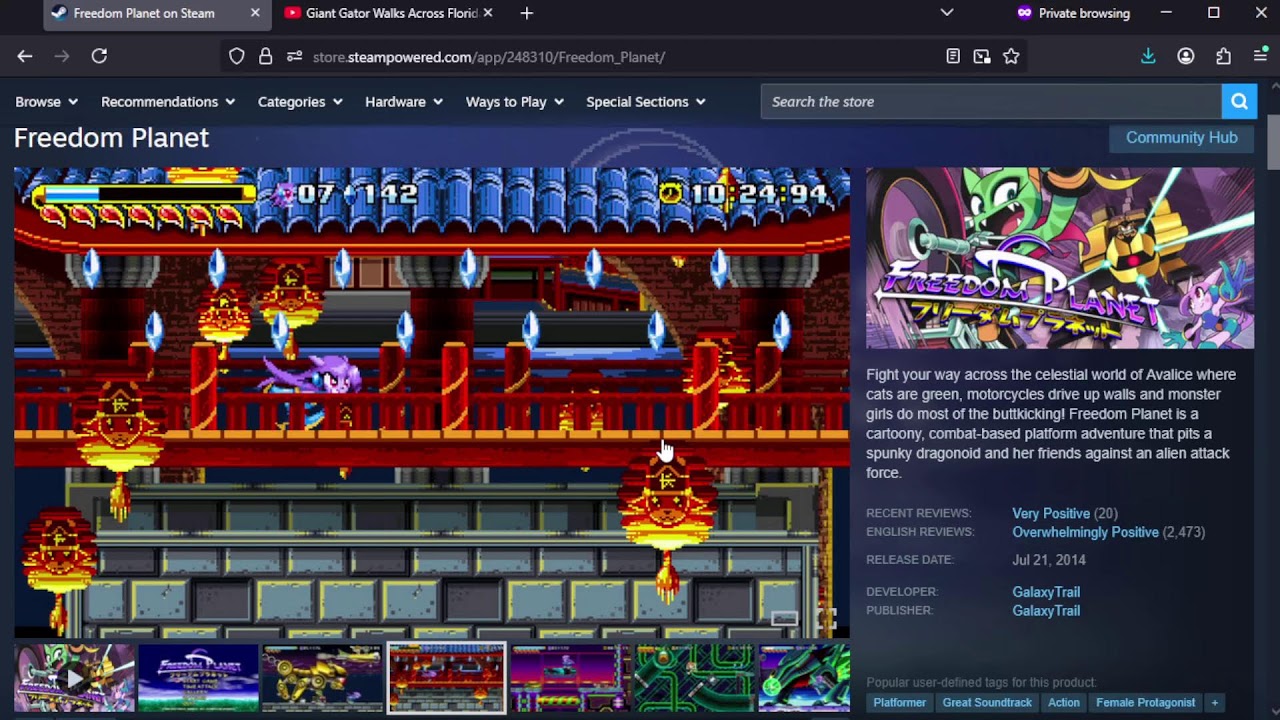 Why is Sanic game good?