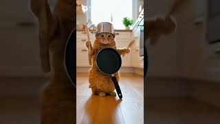 キッチン道具で演奏する猫ちゃん