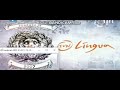 TVN Lingua Plansze Produkcje Z 2006 2009