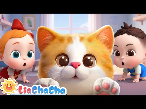 Meow! The Cat Song | Kitty Cat Coco Song | Nursery Rhymes & Kids Songs | LiaChaCha