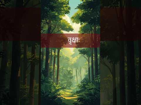 The Beauty of the Riverbank | नदी-तटस्य शोभा (नदी के तट की शोभा)Sanskrit Story - 120 | Sanskrit Kalp