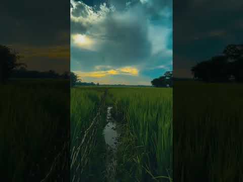 new aini video comment khe sadi brekhe ong ha la 😊