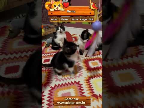 Vídeo de Benta