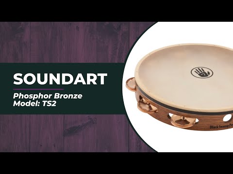 Phosphor Bronze Single Row SoundArt Tambourine | TS2 Sound Sample