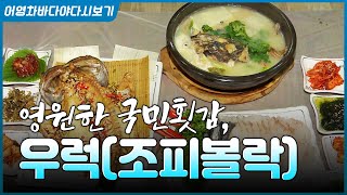 회 이야기 할 때 이놈이 빠지면 섭하죠~ 국민 횟감 우럭 #바다 #회 #생선 #우럭회 #우럭 #조피볼락