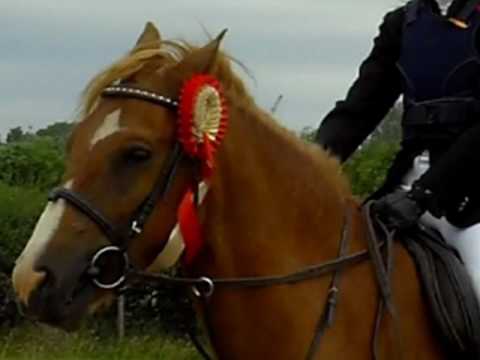 -the steeper the mountain, the harder the climb, the better the view at the finishing line-