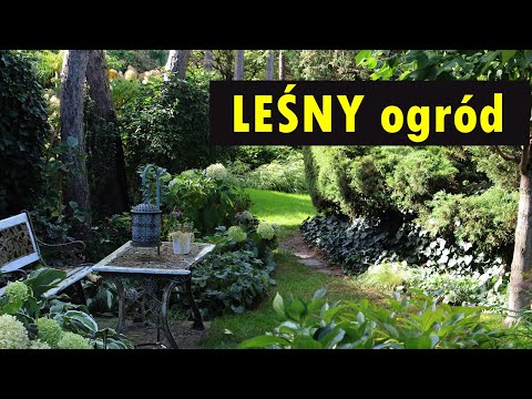 A forest garden near Wrocław. A kingdom of plants and colorful decorations.