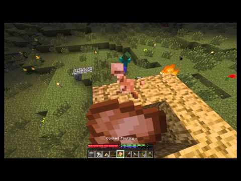 Terrafirmacraft, E1, This is so cool!