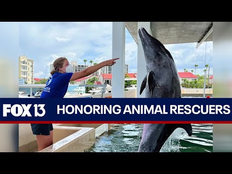 Clearwater Marine Aquarium celebrates its rescuers