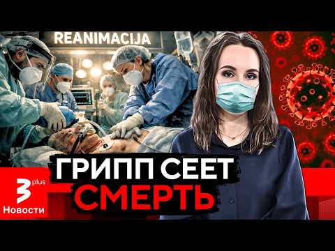 The epidemic is devastating Lithuania: dozens of victims, hundreds of hospitalizations