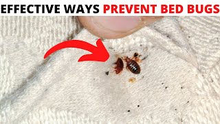 12 Effective Method to Get Rid of Bed Bug