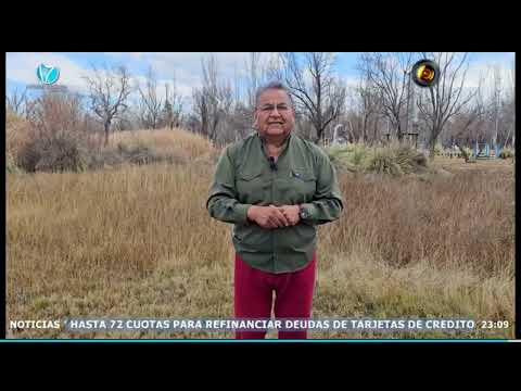 Programa SENTIDOS 095 emitido el miercoles 02/09/2026