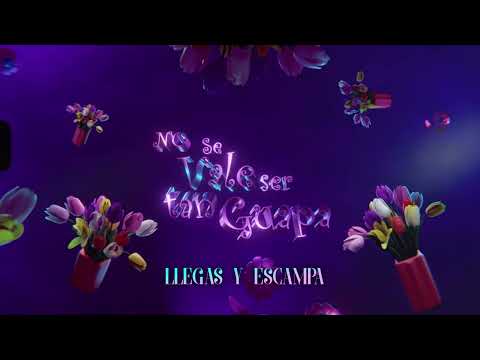 no se vale ser tan guapa - mafalda cardenal, Polo Nandez, Zeper