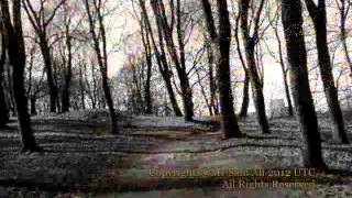 Mr.Sam Ali - Gone Away (Original Song)