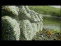 JESTOFUNK - "Can We Live"