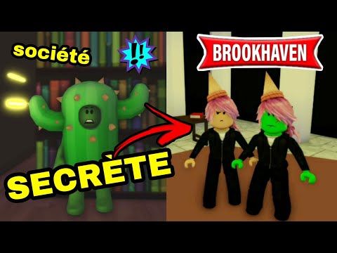 CACTUS RENCONTRE LES FILLES DE GLACE (HYPER BIZARRE) !! BROOKHAVEN RP - ROBLOX