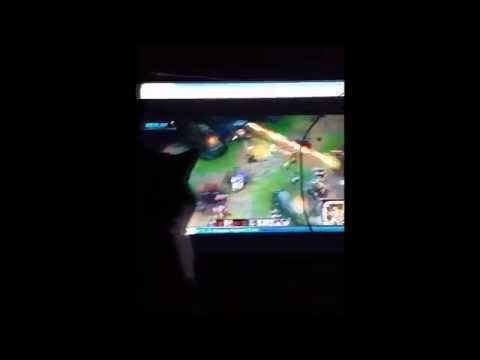 NA LCS Spring [Bjergsen love]