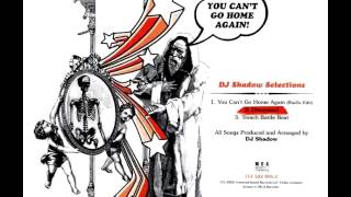 Dj Shadow - Disavowed