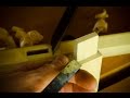 How to Make Mortise and Tenon Joints with Hand ...