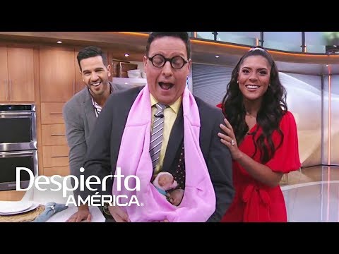 We celebrate National Dog Day with these two beautiful puppies.