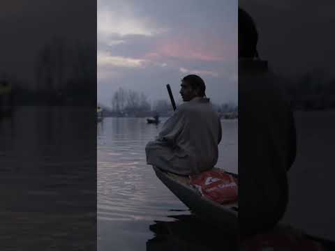Exploring the Rich Cultural Heritage of Jammu & Kashmir Through Shikara Ride on Dal Lake