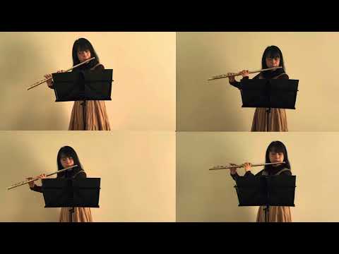 フルート演奏(BGM・お手本演奏など)録音します イメージ1
