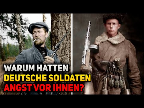 Nightmares of the Wehrmacht in Soviet Forests: The Partisan War from the German Perspective
